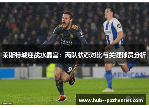 莱斯特城迎战水晶宫：两队状态对比与关键球员分析